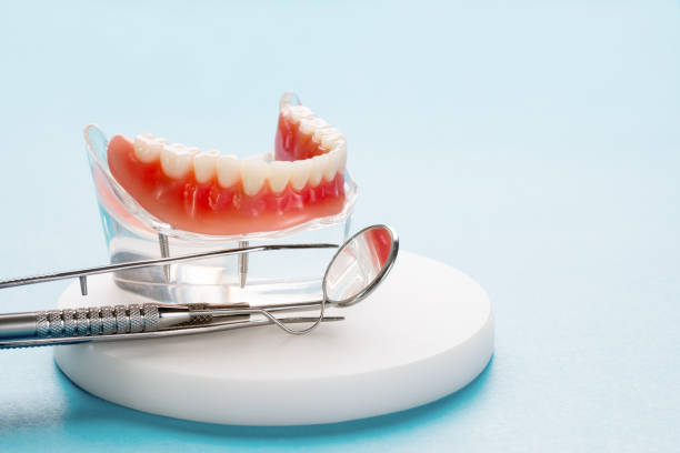 Dental X-Rays and Imaging in South Sarasota, FL